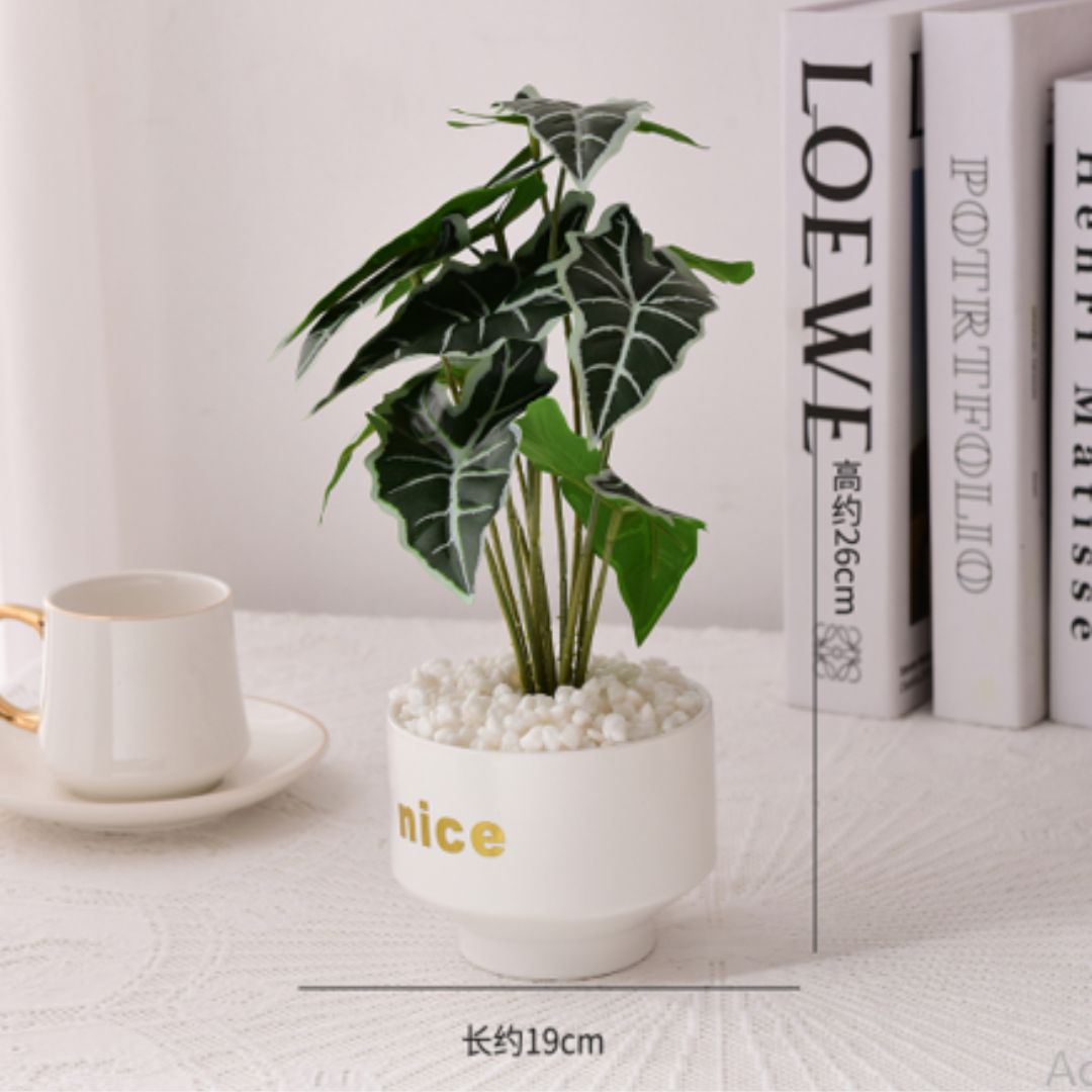Minimalistic Flower Pot With Plant - Home Hatch