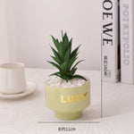 Minimalistic Flower Pot With Plant - Home Hatch