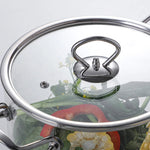 Borosilicate Glass Cooking/Simmer Pot with Lid & Stainless Steel Handle