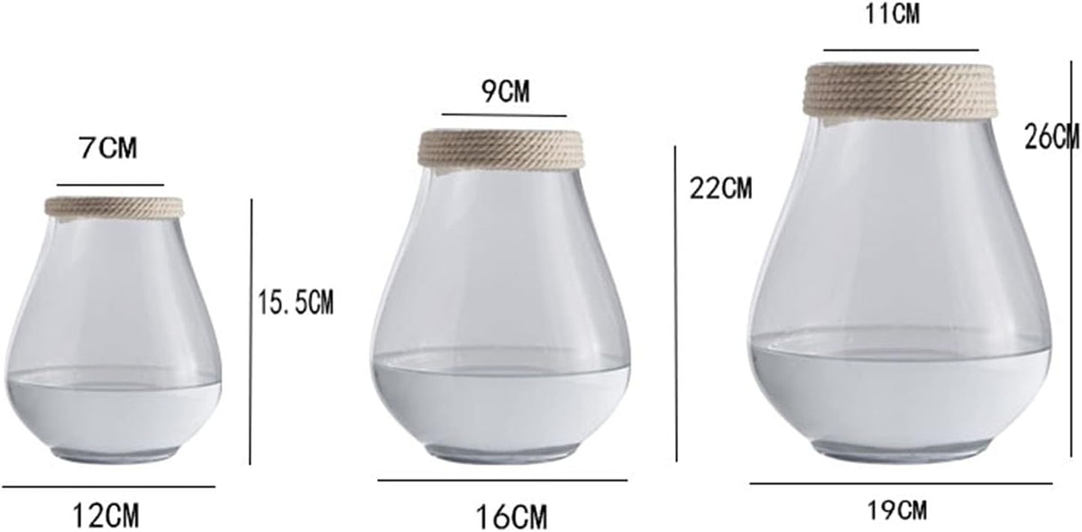 Minimalist Glass Vase with Jute Rope Accent | Pots & Vases