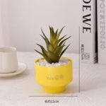 Minimalistic Flower Pot With Plant - Home Hatch