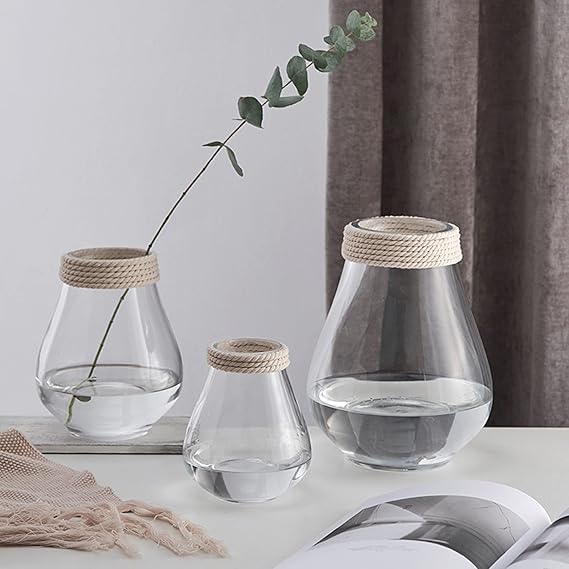 Minimalist Glass Vase with Jute Rope Accent | Pots & Vases