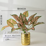Rhombus Golden Ceramic Flower Pot With Plant - Home Hatch