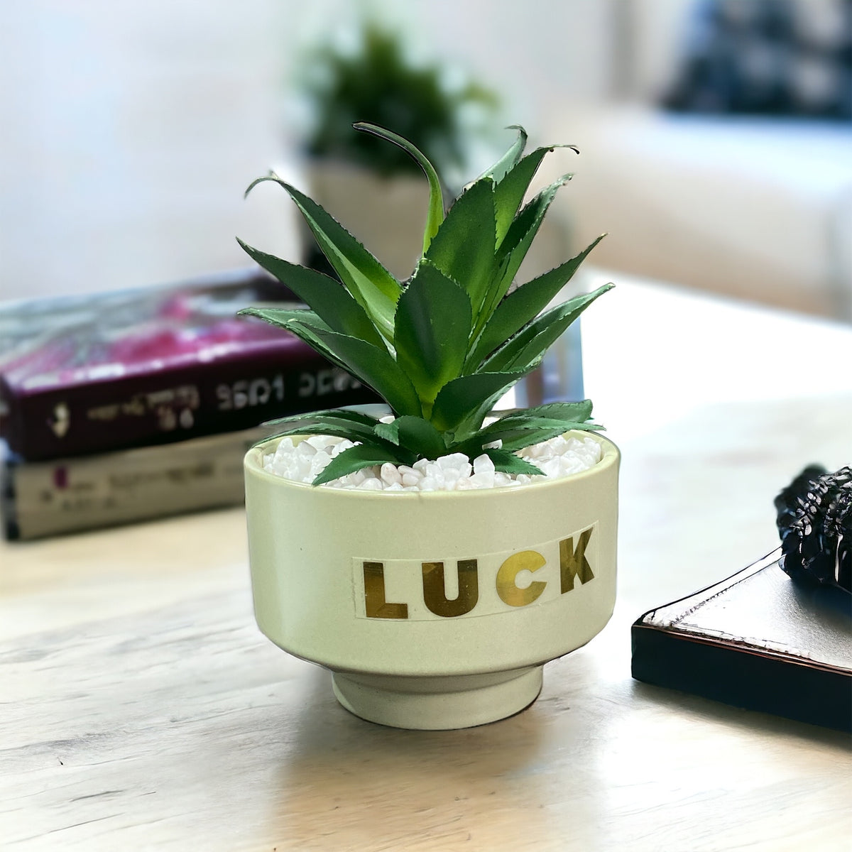Minimalistic Flower Pot With Plant - Home Hatch