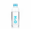 Blue Print Borosilicate Glass Water Bottle with Plastic Cap – H2O Style Leakproof