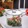 Borosilicate Glass Cooking/Simmer Pot with Lid & Stainless Steel Handle