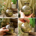 Vintage Transparent Bud Glass Vase | Home Decor