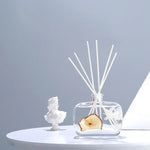 French Aromatherapy Room Perfume | Indoor Dry Flower Diffuser