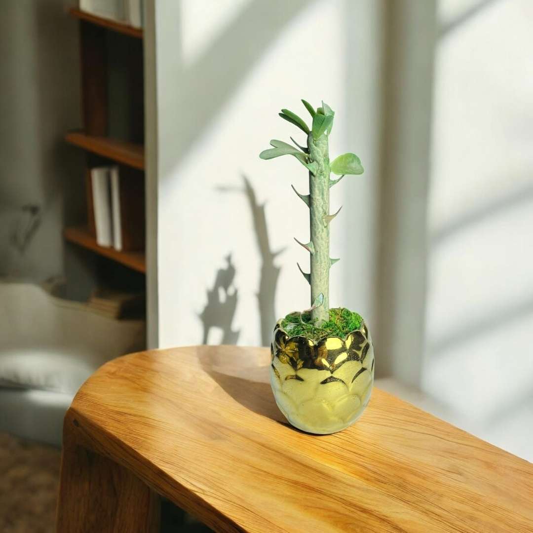 Golden Glow Artificial Succulent | Faux Plant with Ceramic Pineapple Pot