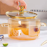 Golden Bear Lid Borosilicate Transparent Glass Cooking Pot – Home Hatch Pakistan