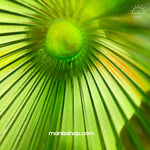 Emerald Green Glass Vase | Home Decor | Pots & Vases