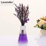 Bliss Reed Diffuser – Aromatic Elegance Room Perfume | Indoor Dry Flower Diffuser