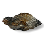 Oyster Design Center Piece | Home Decor