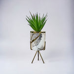 Marble Pattern Flower Pot With Plant - Home Hatch