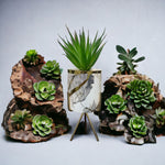 Marble Pattern Flower Pot With Plant - Home Hatch