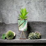 Marble Pattern Flower Pot With Plant - Home Hatch