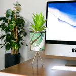 Marble Pattern Flower Pot With Plant - Home Hatch