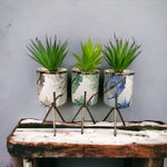 Marble Pattern Flower Pot With Plant - Home Hatch