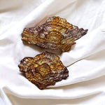 Oyster Design Center Piece | Home Decor