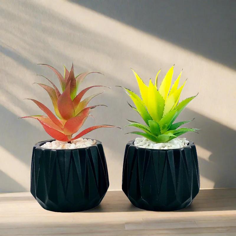 Matt Black Flower Pot With Plant