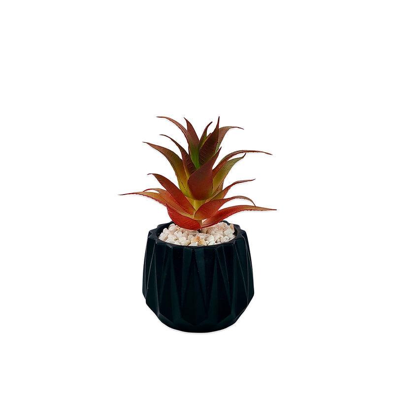 Matt Black Flower Pot With Plant