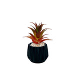 Matt Black Flower Pot With Plant