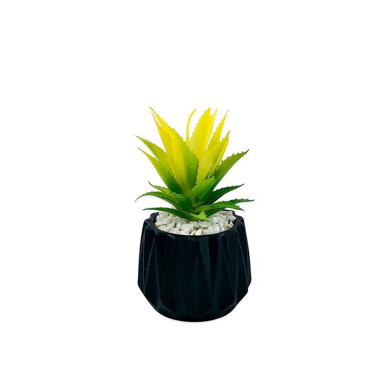 Matt Black Flower Pot With Plant
