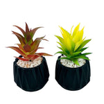 Matt Black Flower Pot With Plant