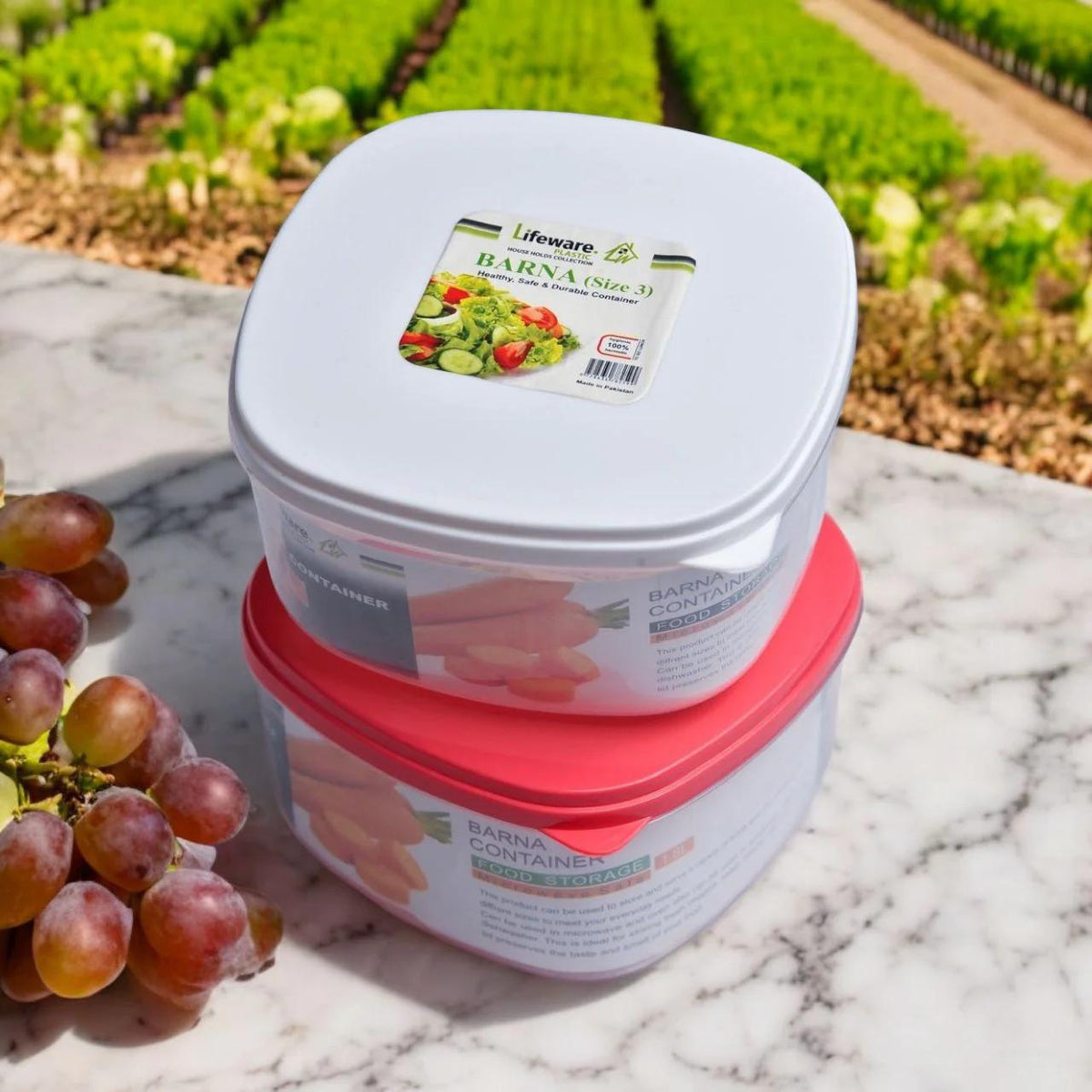 4 پورشن ایئر ٹائٹ اسٹوریج باکس کنٹینر/باکس