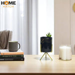 Desk Bloom Duo Holder | Planter | Pen Holder