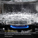 Borosilicate Glass Cooking/Simmer Pot with Lid & Stainless Steel Handle