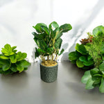 Stamped Floral Design Ceramic Flower Pot with Flower