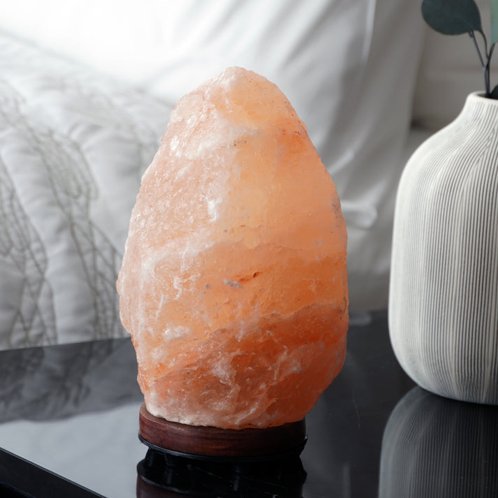 Himalayan Pink Salt Lamp | Home Decor