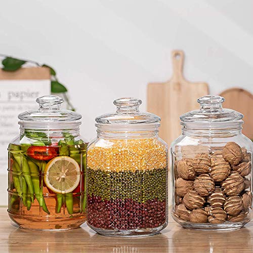 Delisoga Airtight Storage Jar | Glass Food Containers