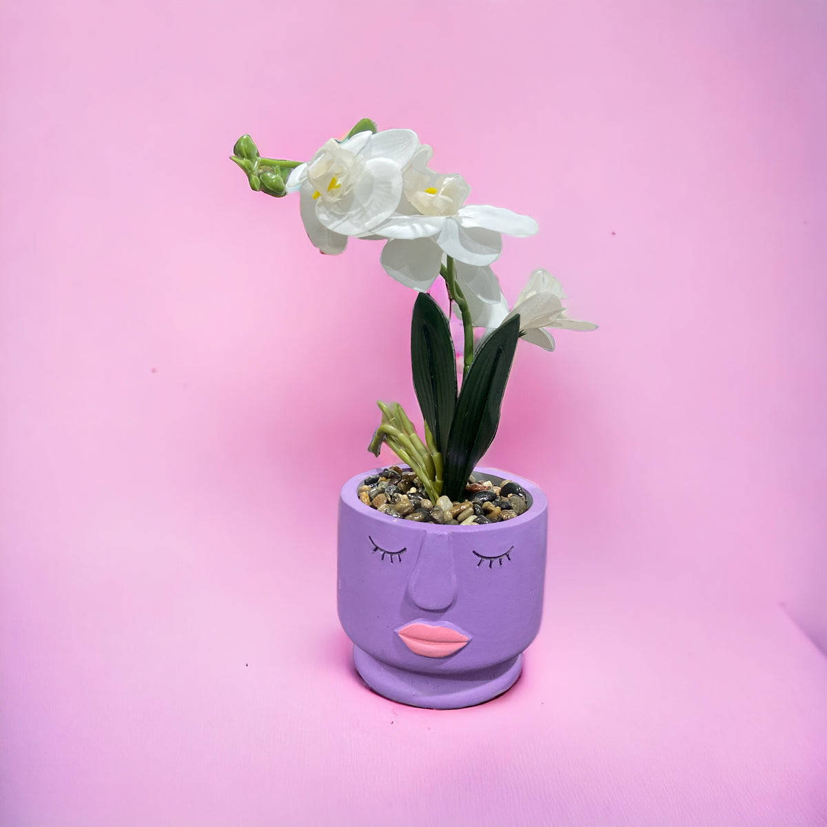 Colored Ceramic Face-Flower Pot With Plant - Home Hatch