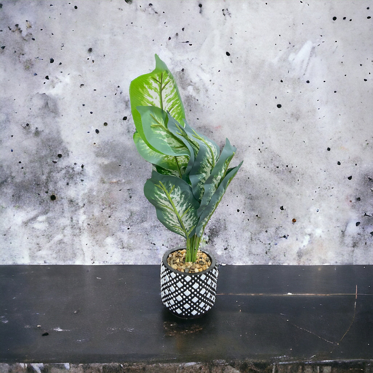 Symmetrical Patterned Succulent Flower Pot With Plant - Home Hatch