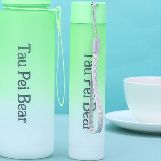 Gradient Colored Drinking Water Bottles 3-Pcs