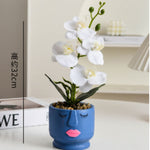 Colored Ceramic Face-Flower Pot With Plant - Home Hatch