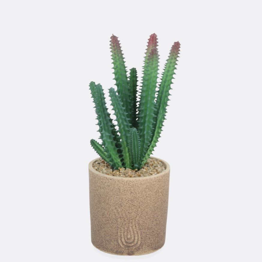 Cactus Plant With Sandy Texture Pot - Home Hatch