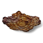 Oyster Design Center Piece | Home Decor