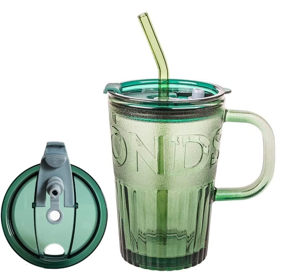 Techmanistan 450ml Frosted Glass Tumbler with Lid & Straw