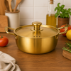 Golden Pot Plain With Lid Premium Stainless Steel Cooking Casserole Double Handle Cookware